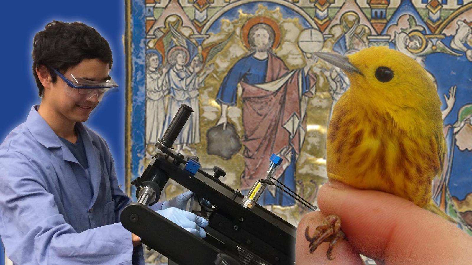 A boy with lab equipement, a yellow bird and the Morgan Crusader bible in the background