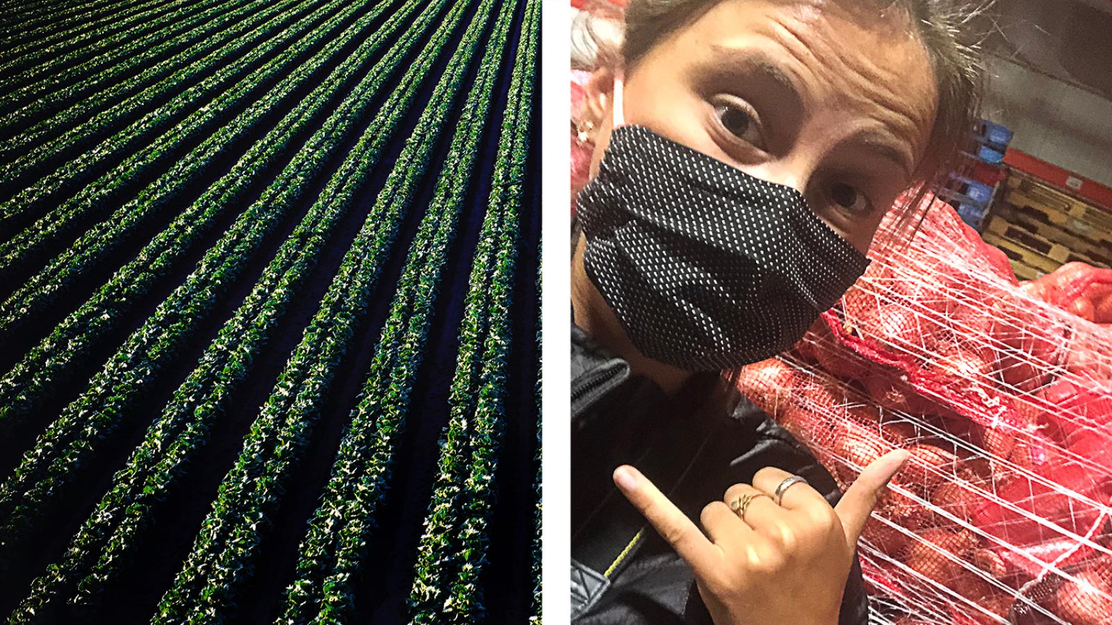 Crop field and Alumna Sara Sherburne with 40,000 lbs of shallots