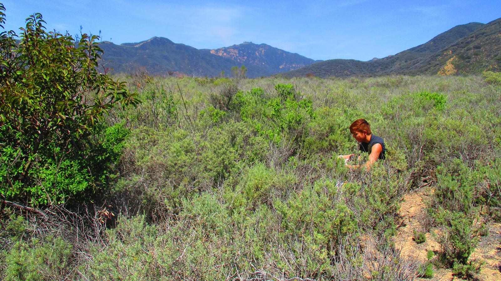 Leo Estrada '16 in Santa Monica Mountain National Recreation Area