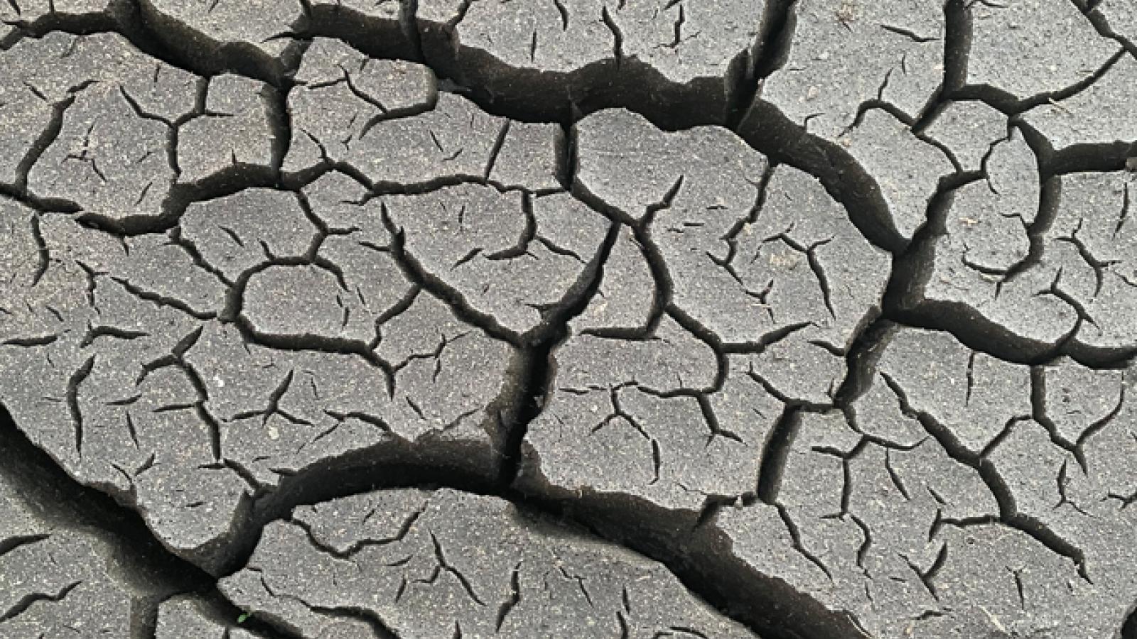 Closeup of dried mud