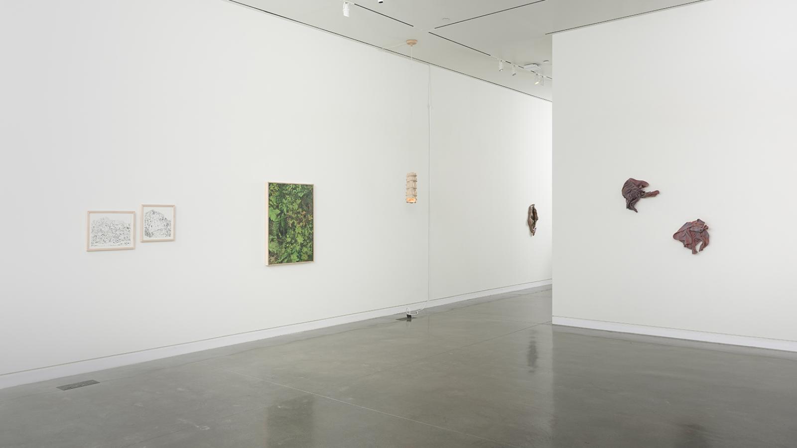 Installation view