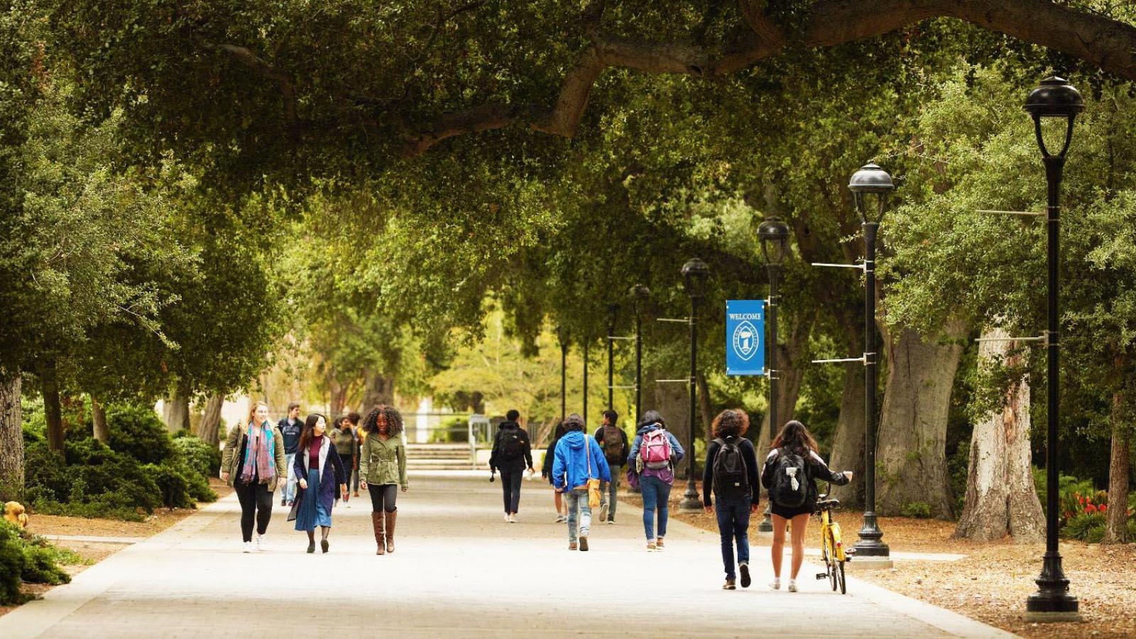 students walking on stover walk