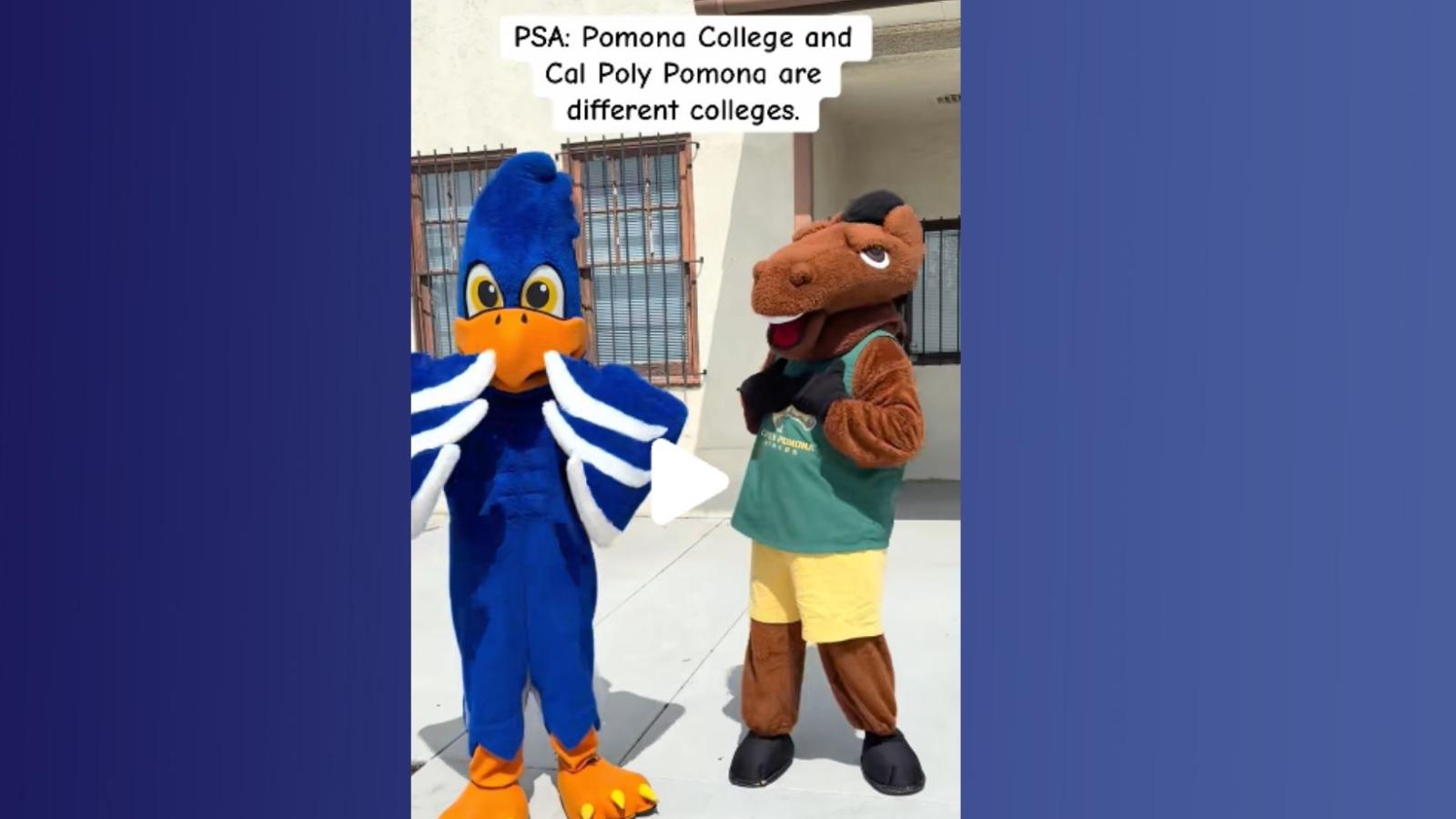Two mascots