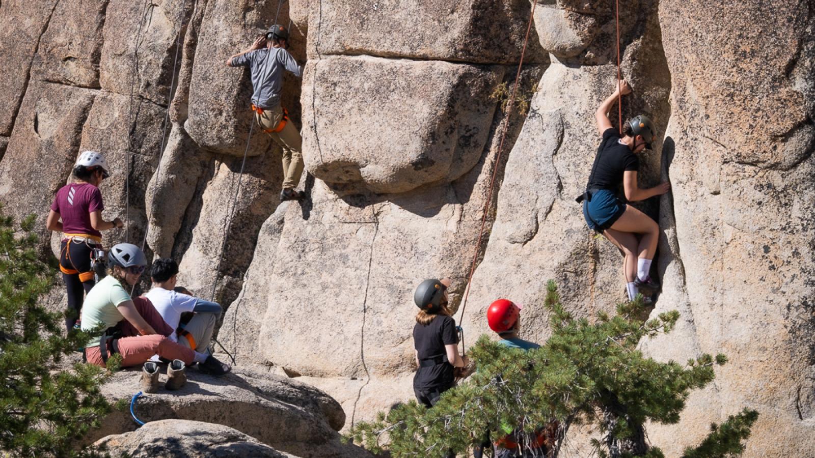 Students rock climbing with ropes.