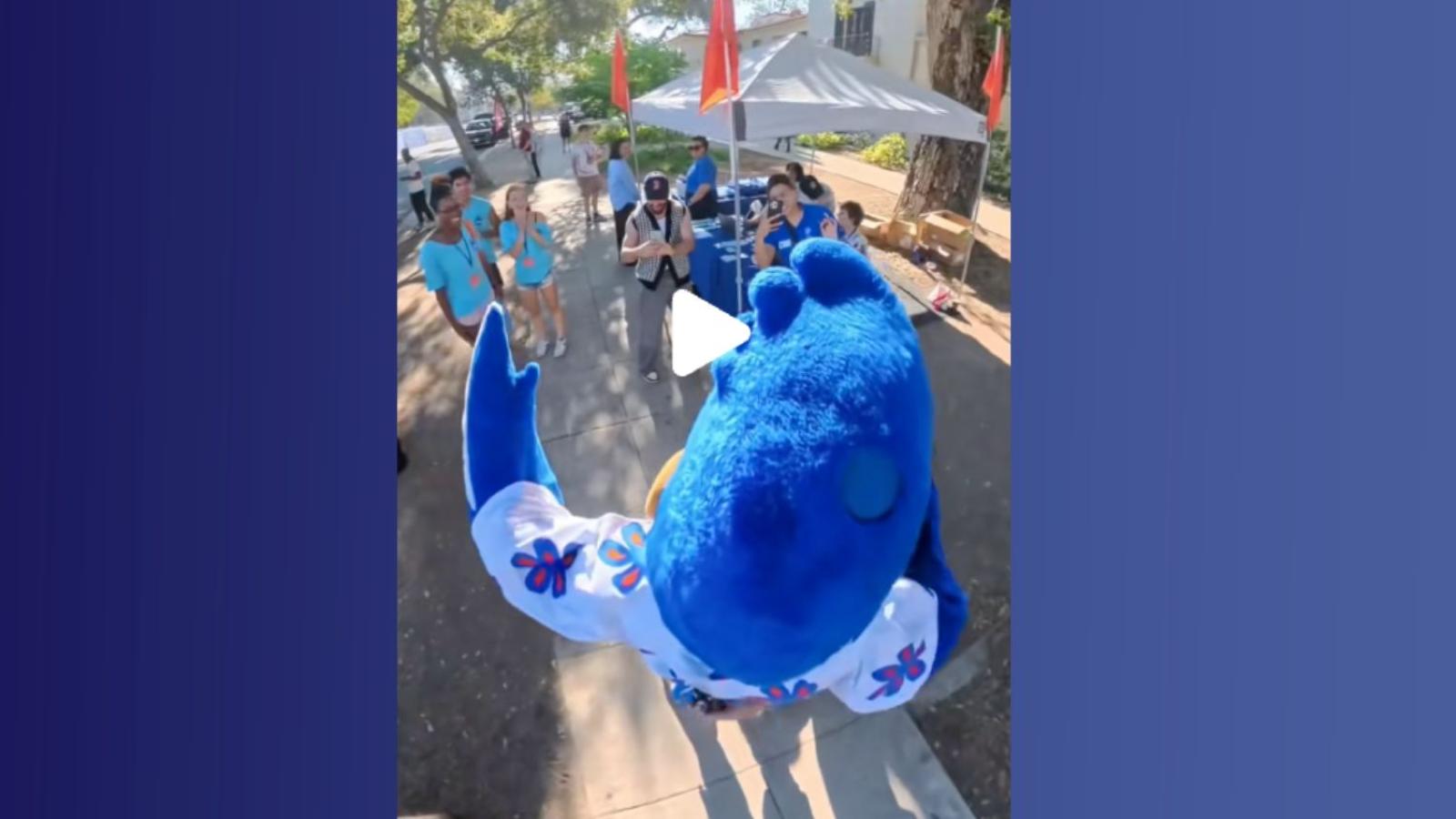Cecil the Sagehen mascot