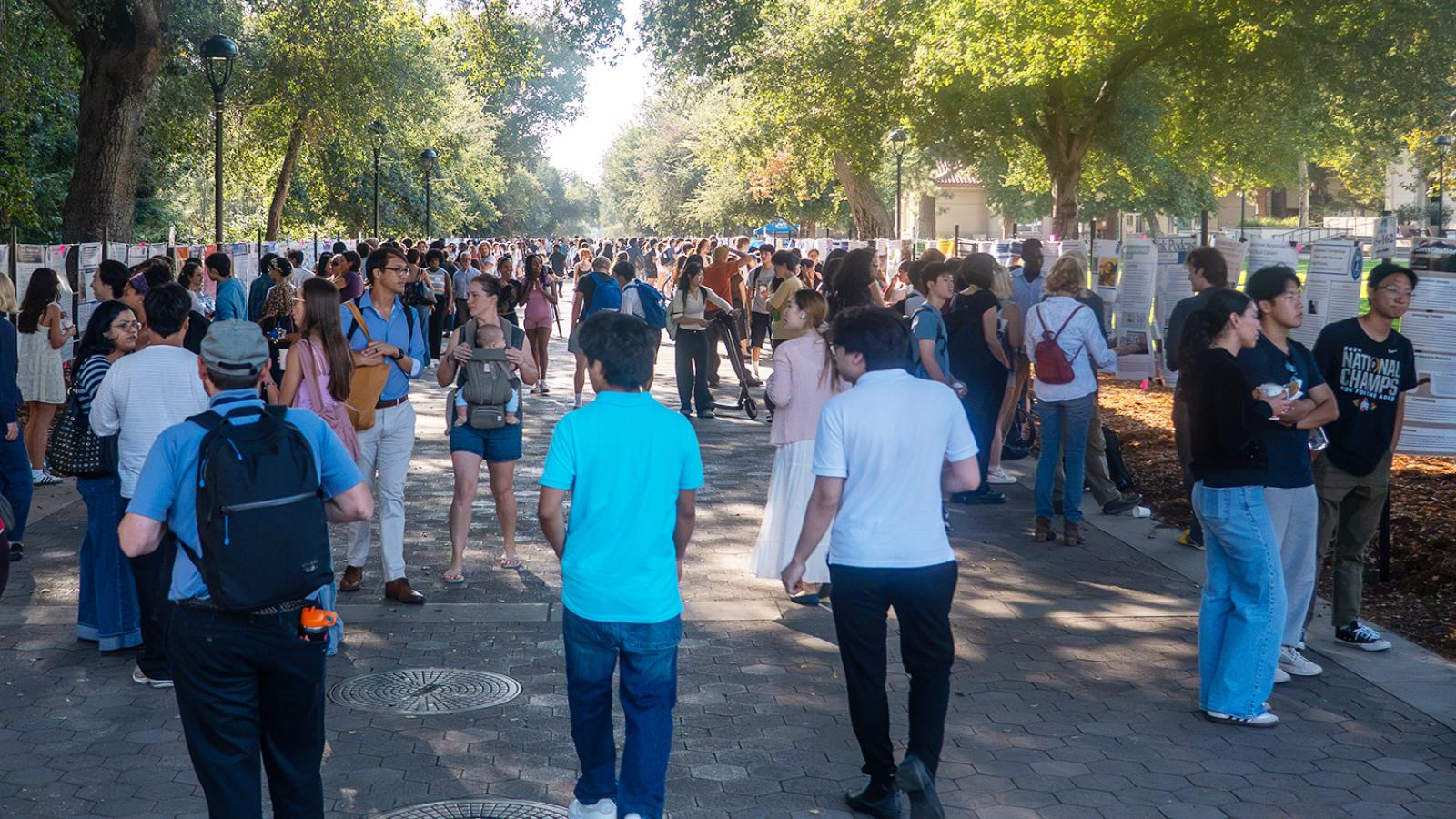 Large number of visitors on Stover Walk during the annual poster conference.