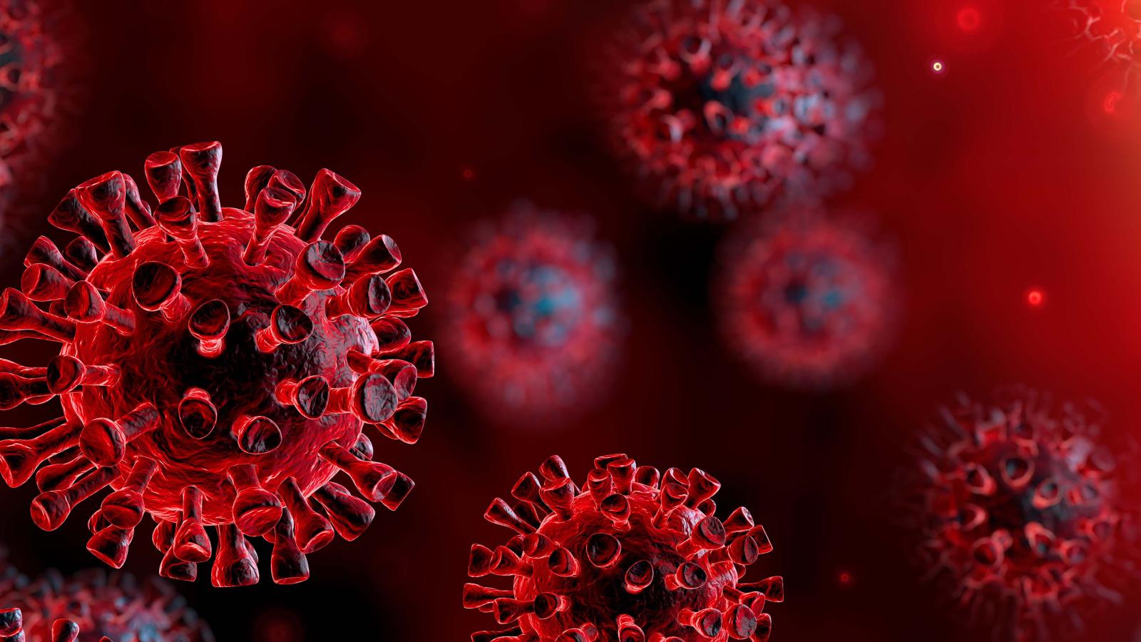 coronavirus, stock image