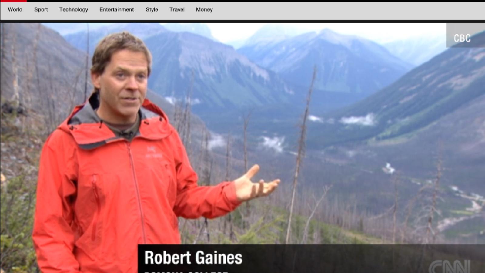 Bob Gaines on CNN website