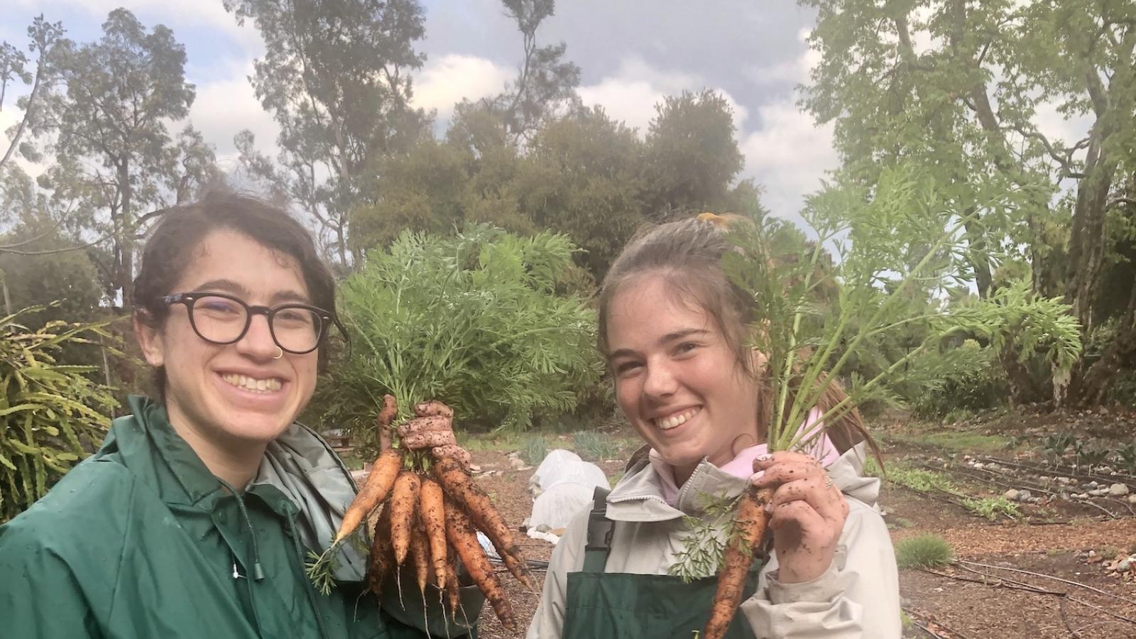 Students hold up carrots at the Farm
