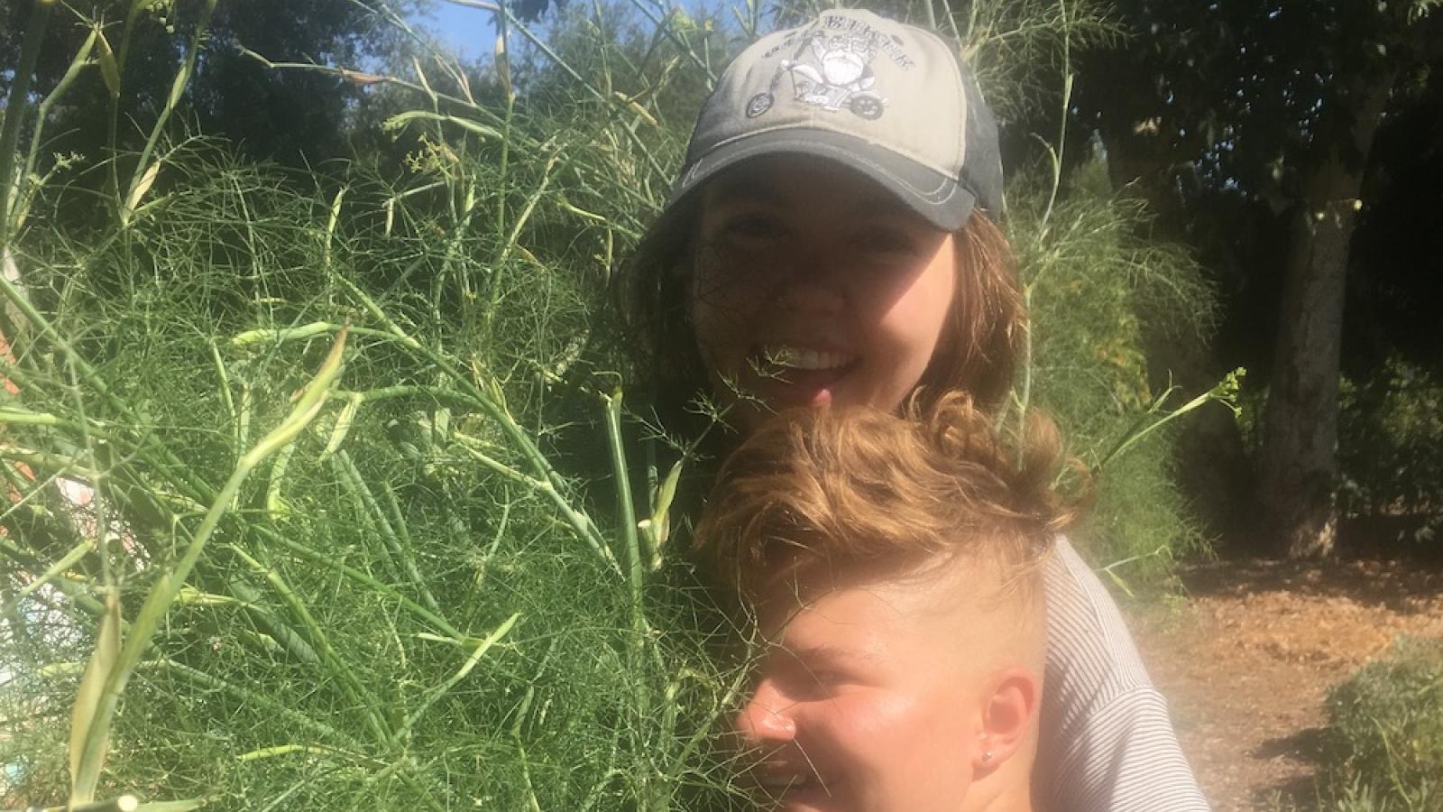 Two students hug a bundle of fennel cuttings