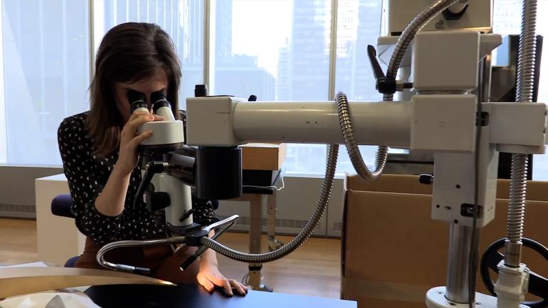 recent alum looking through microscope