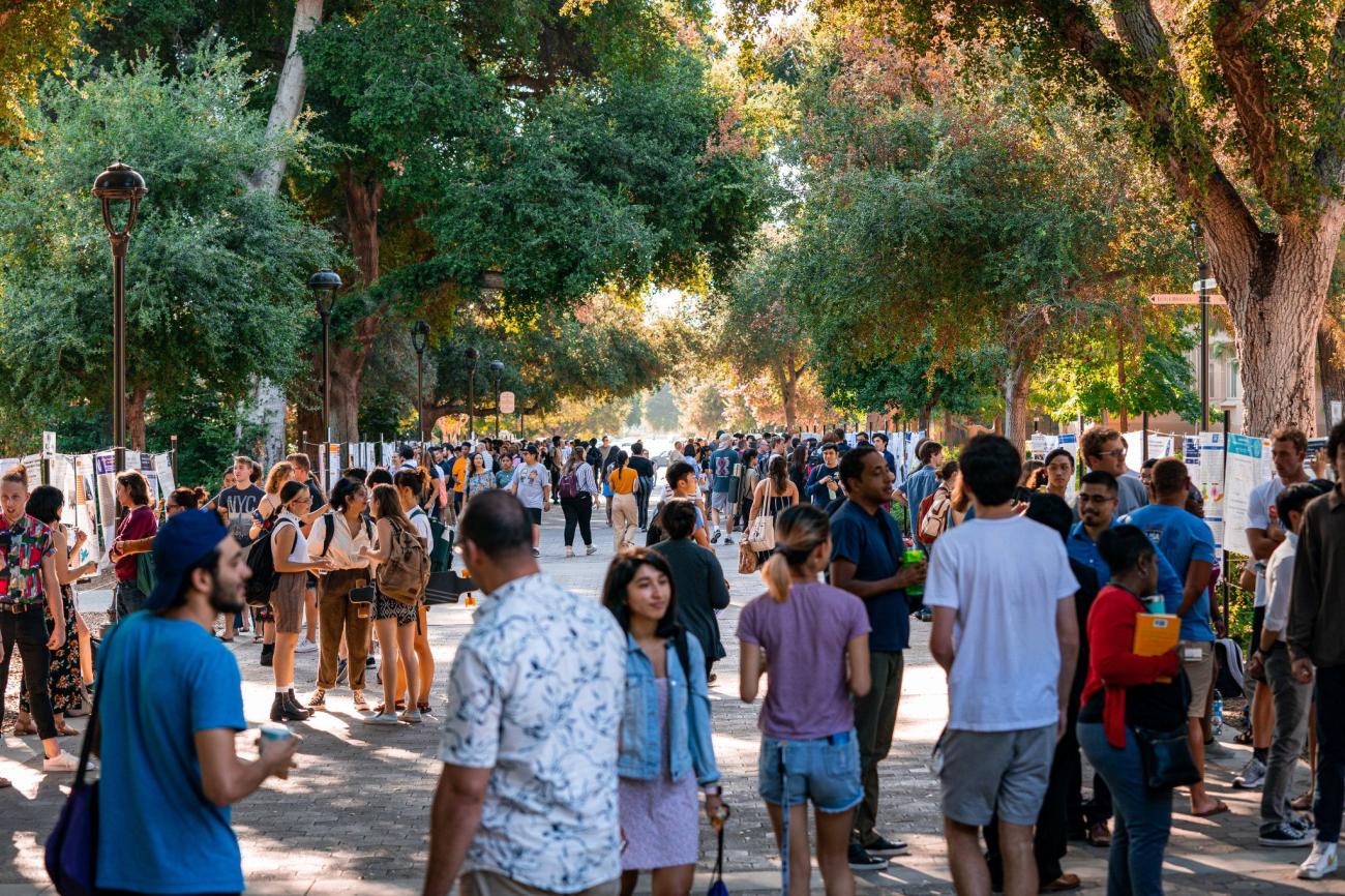 crowd of people walking and talking with posters lining walkway, trees overhead