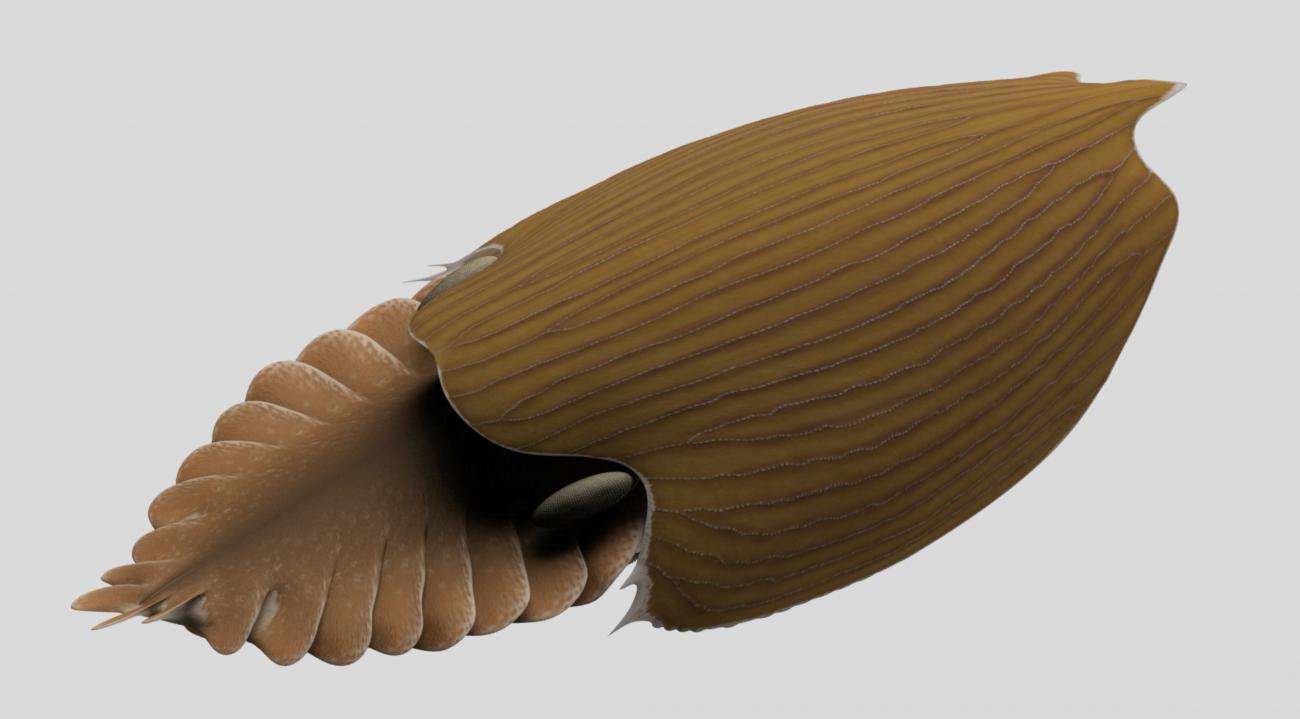 Rendering of fossil named after Bob Gaines 