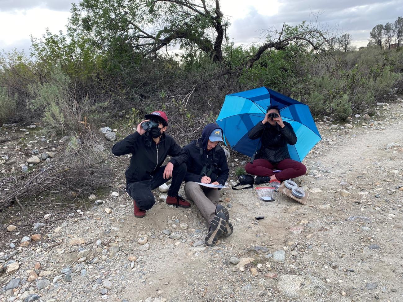 Students observing birds to test hypothesis about foraging adaptations