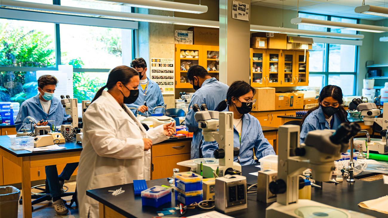 PAYS students in CRISPR lab