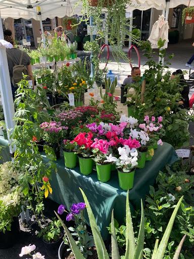 Flowers at the Claremont Farmer's Market