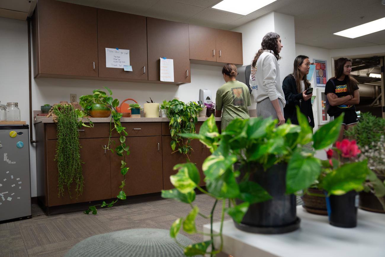 Several plants sit in the Sustainability Office.