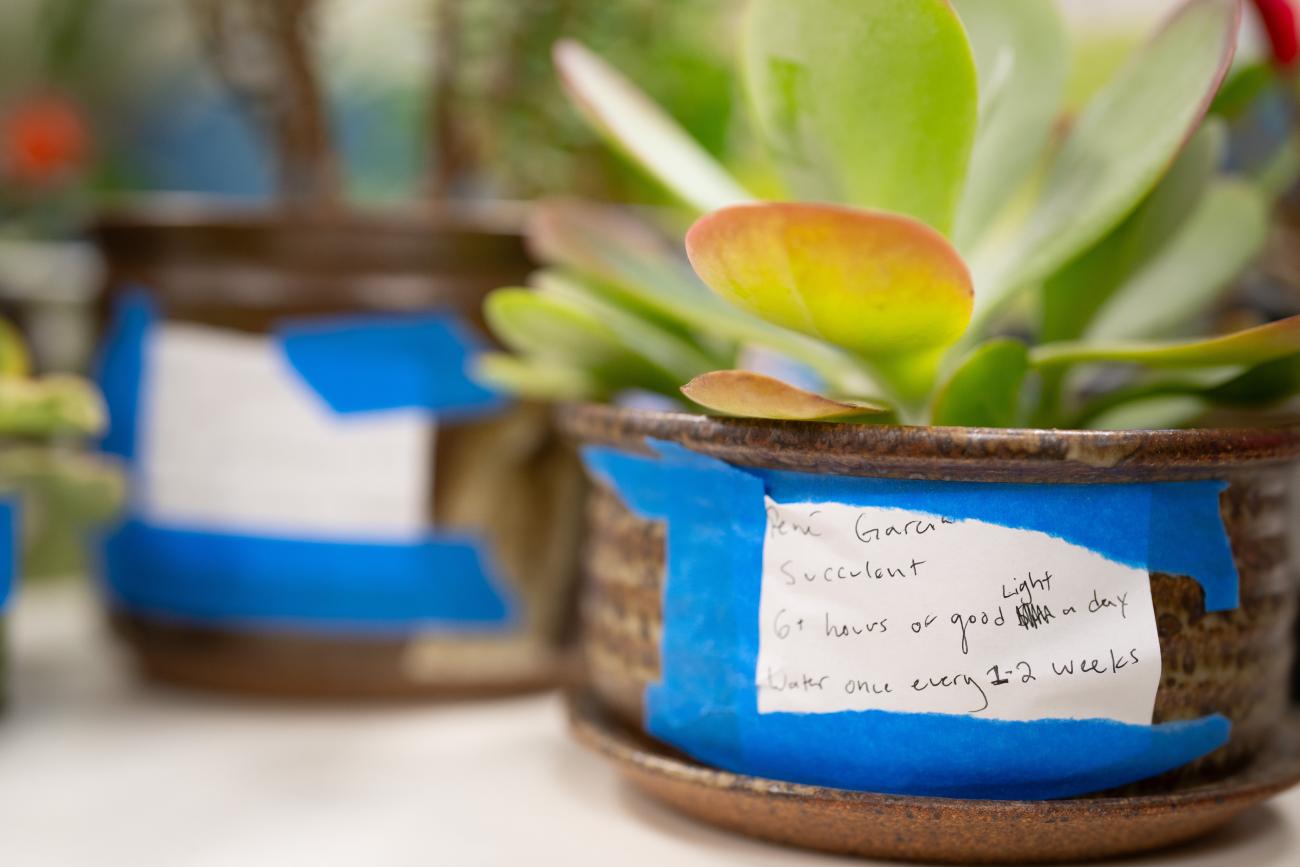 Pomona students left care instructions on their plants.