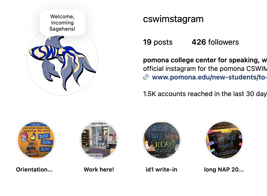 Screenshot from the CSWIM's Instagram account