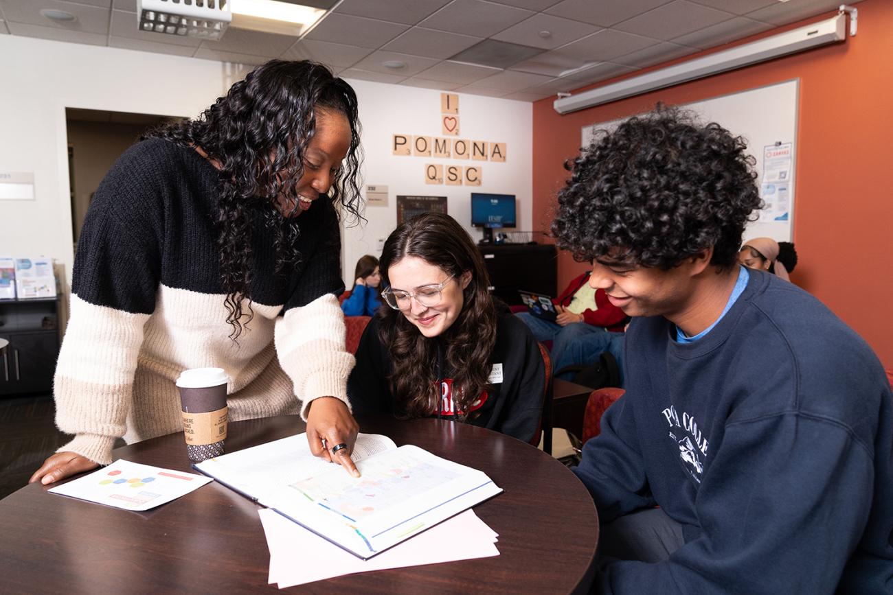 Students at Quantitative Skills Center