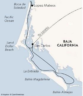 Map of Lindblads Baja California