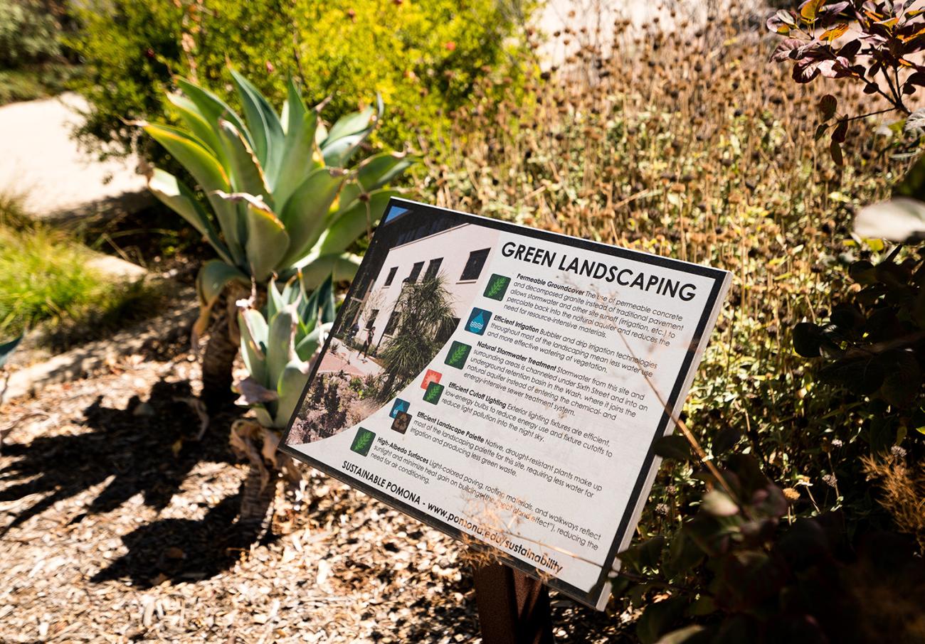 Adding more native and drought-resistant plants reduces the need for irrigation.