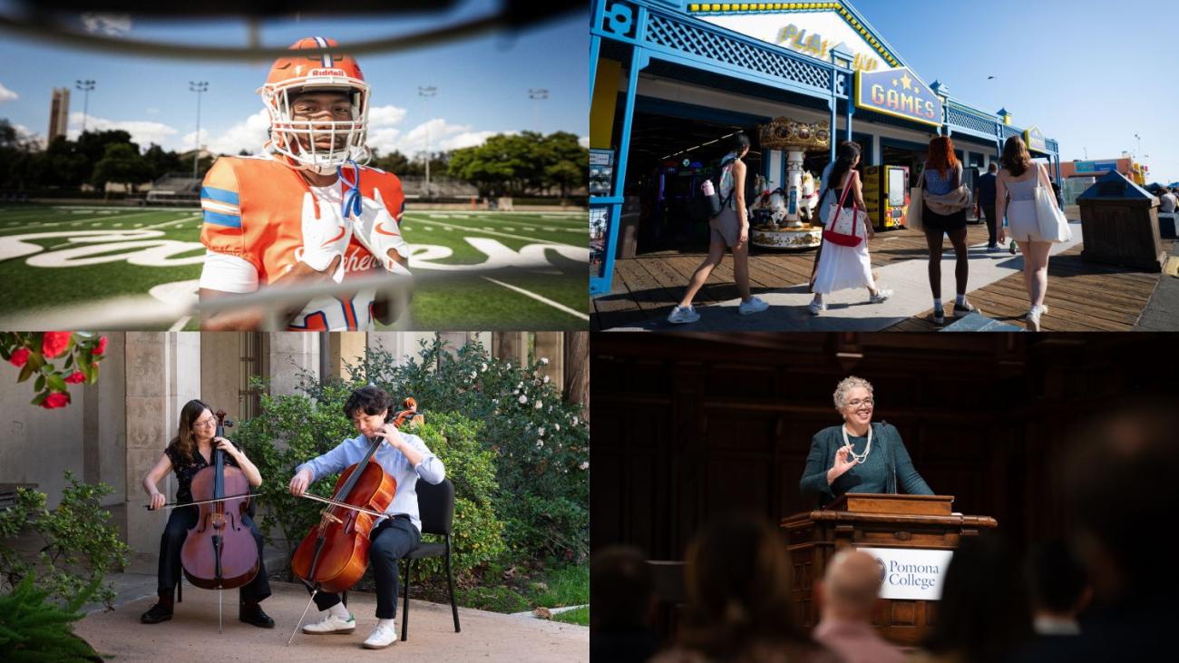 A selection of photos