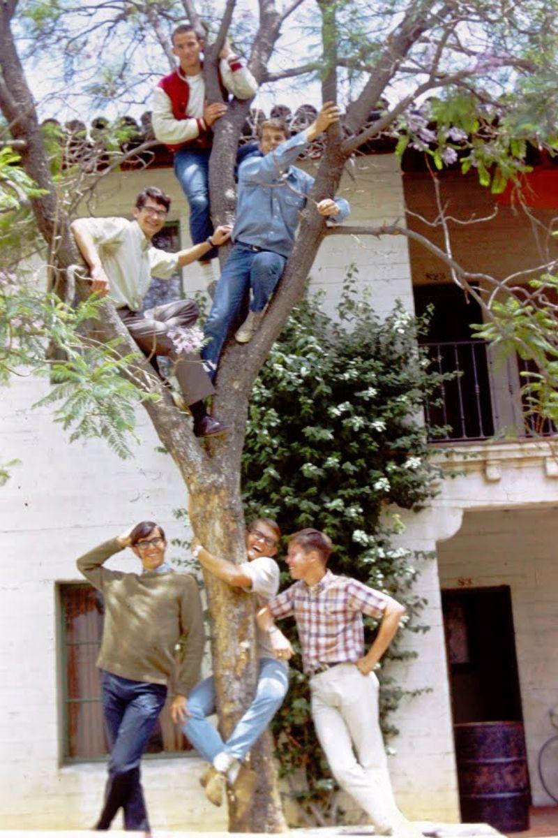Guy Lohman with residence hall friends climbing a tree in front of Clark I