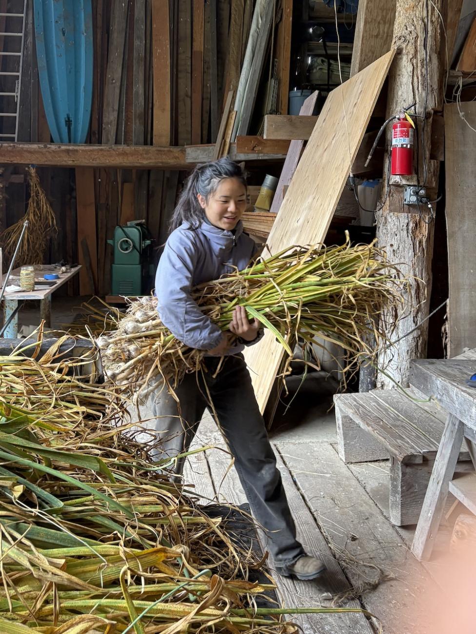 Woman carrying a bale of hay in a farm building
