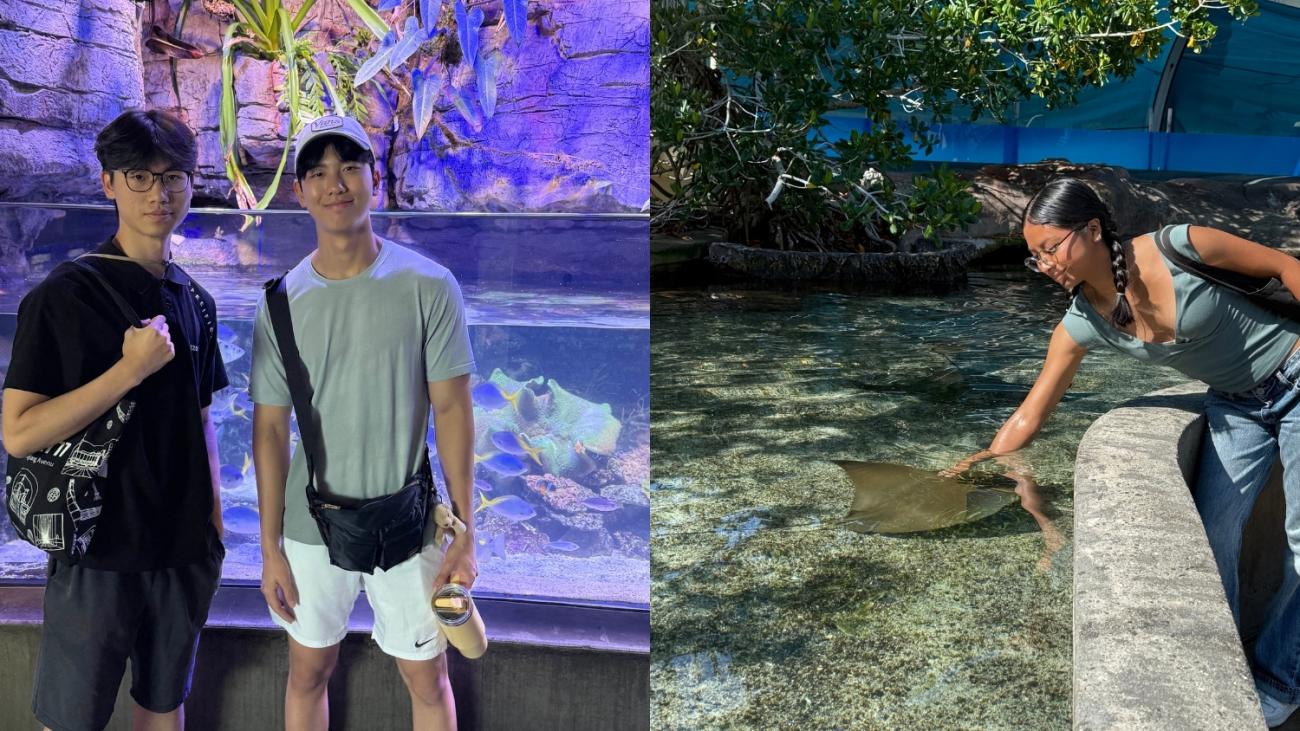Two men at the Aquarium of the Pacific; woman reaching out to touch a manta ray.