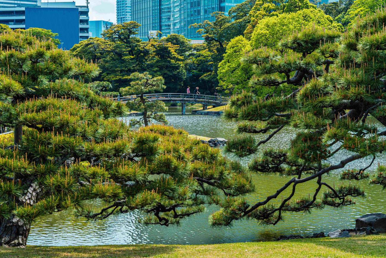 Hama Rikyu Garden
