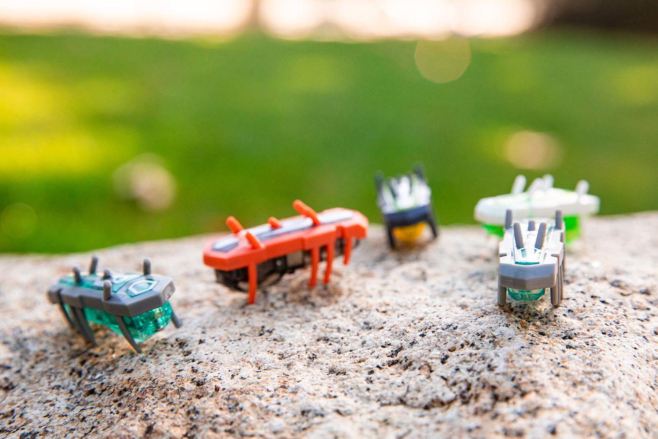 Inexpensive robotic toys called Hexbugs will be used in physics lab experiments this fall.