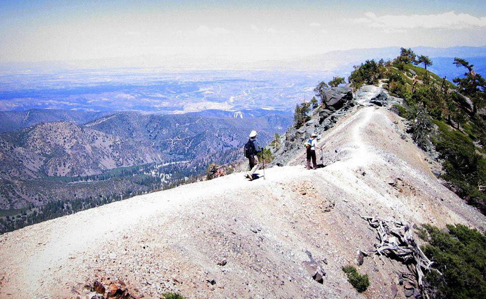 Prof. Alfred Kwok Memorial Baldy Hike