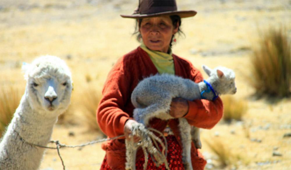 Woman holding animal