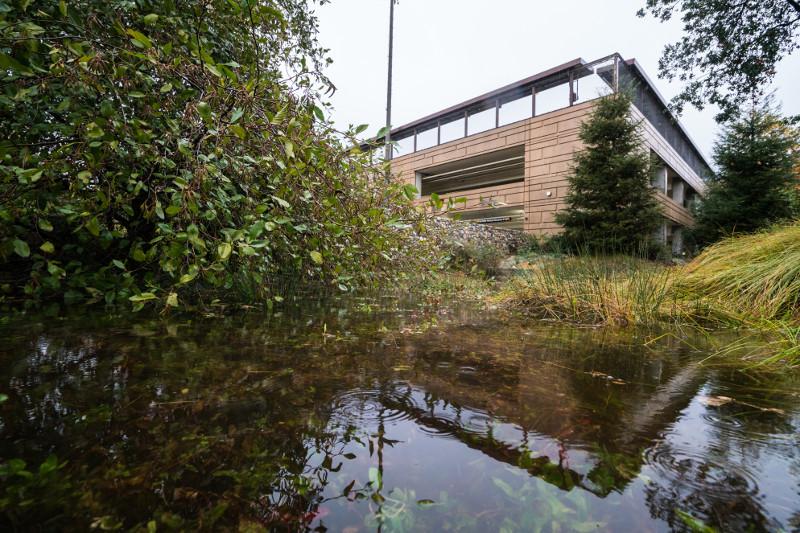 Bioswale near the South Campus Parking Garage captures stormwater