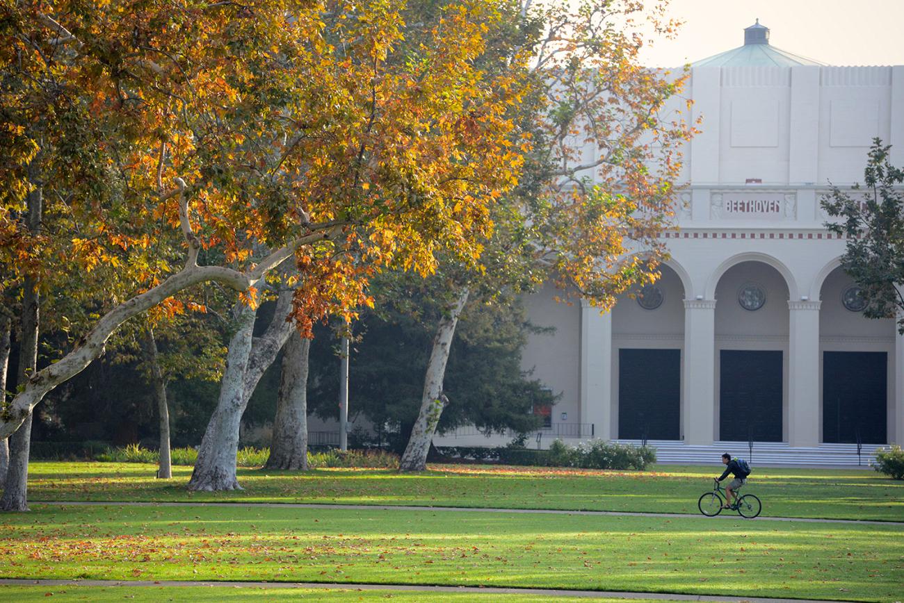 Fall Trees on Marston Quad