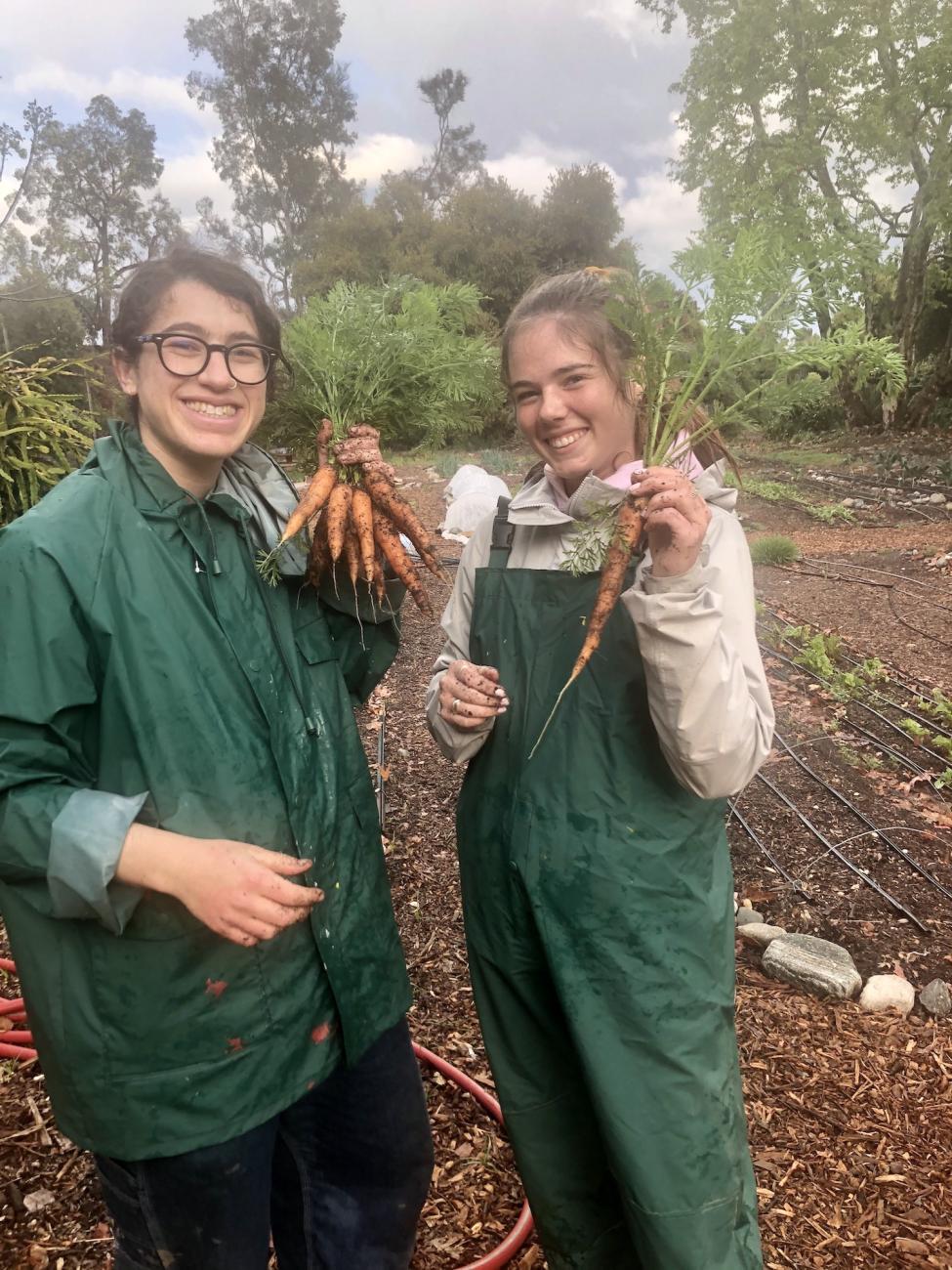 Students hold up carrots at the Farm