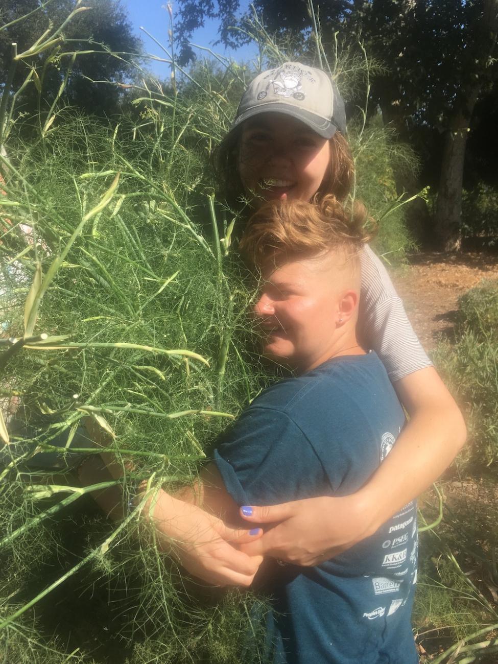 Two students hug a bundle of fennel cuttings