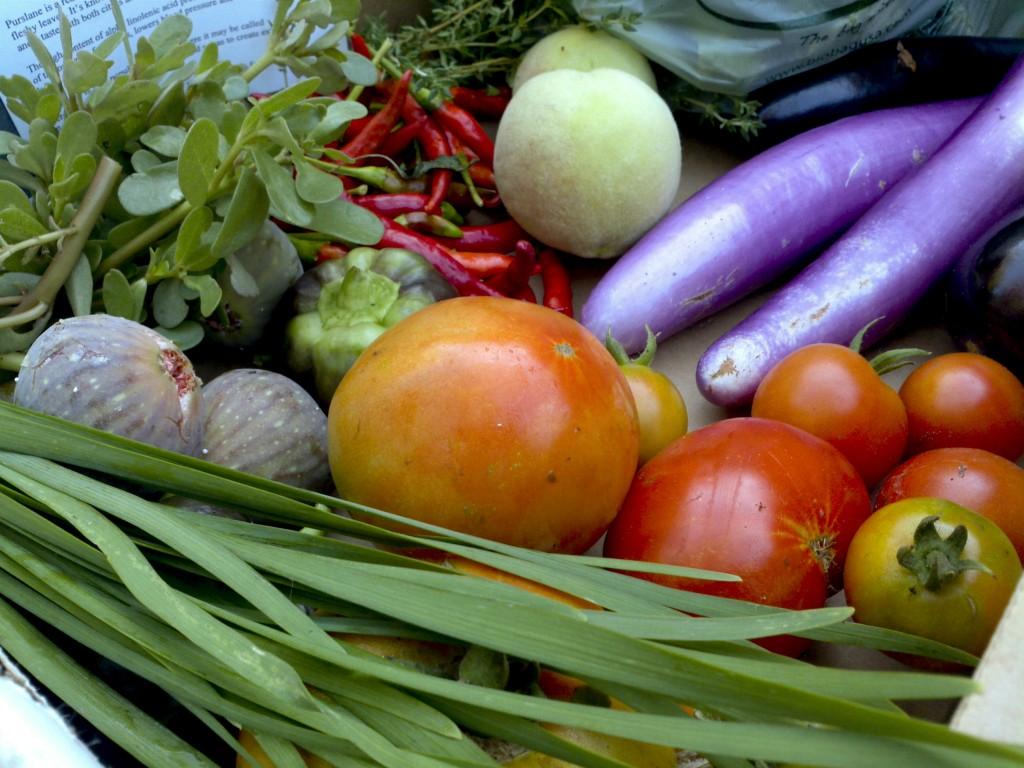 farm produce box