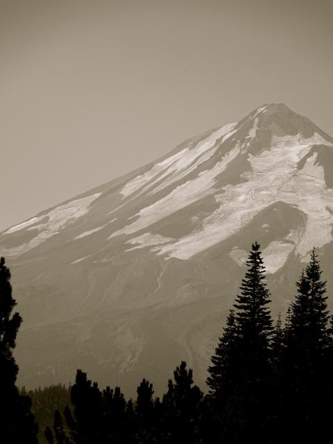 mountain with snow on it, and trees in the foreground