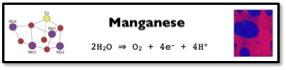 Manganese info