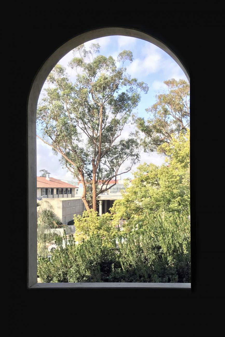 View from Humanities Studio window