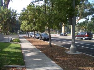 walkway with mulch beside it