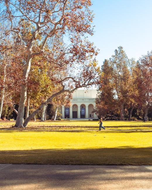 Southern California gifted us beautiful fall colors to campus this semester.