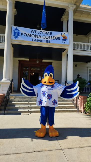A mascot in front of a building