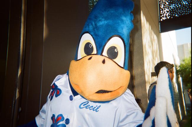 Sagehen mascot