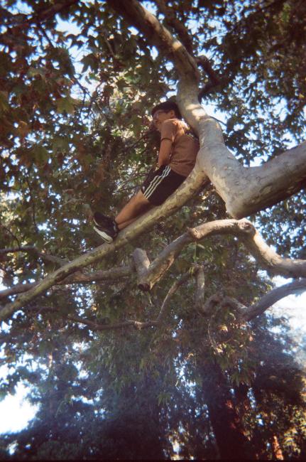 Student in a tree