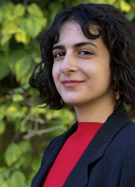 Leile Safavi