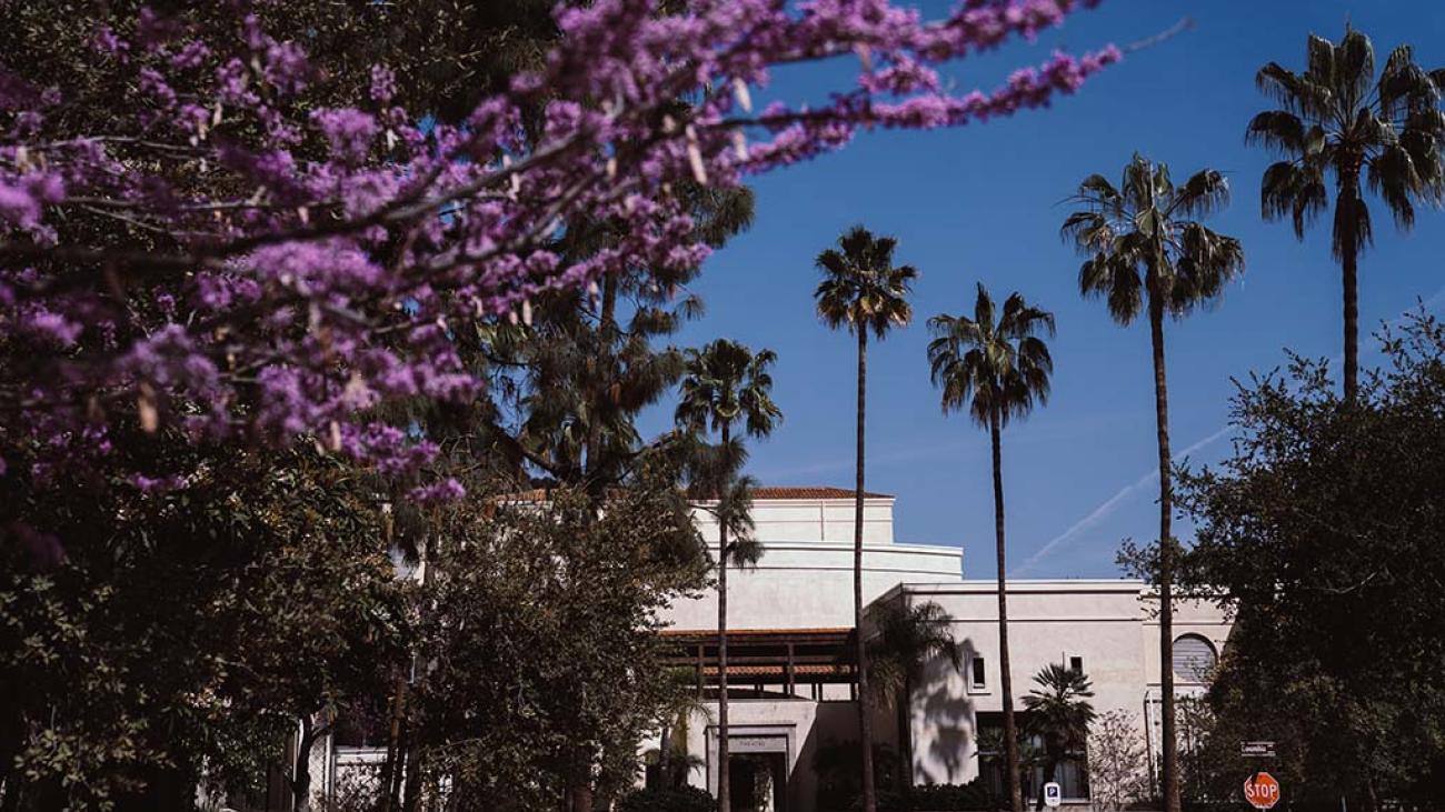 campus shot, theatre building, trees