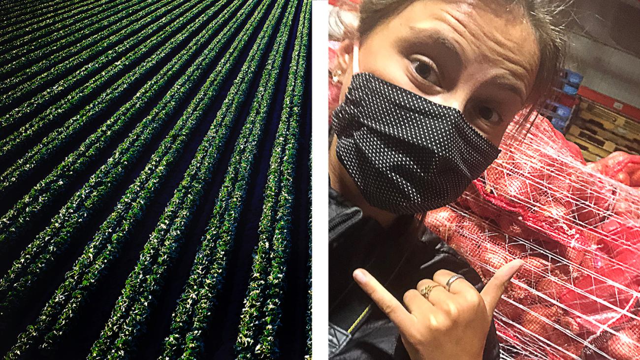 Crop field and Alumna Sara Sherburne with 40,000 lbs of shallots